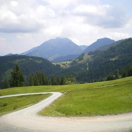 Appartement Fischer Sankt Johann in Tirol Dış mekan fotoğraf