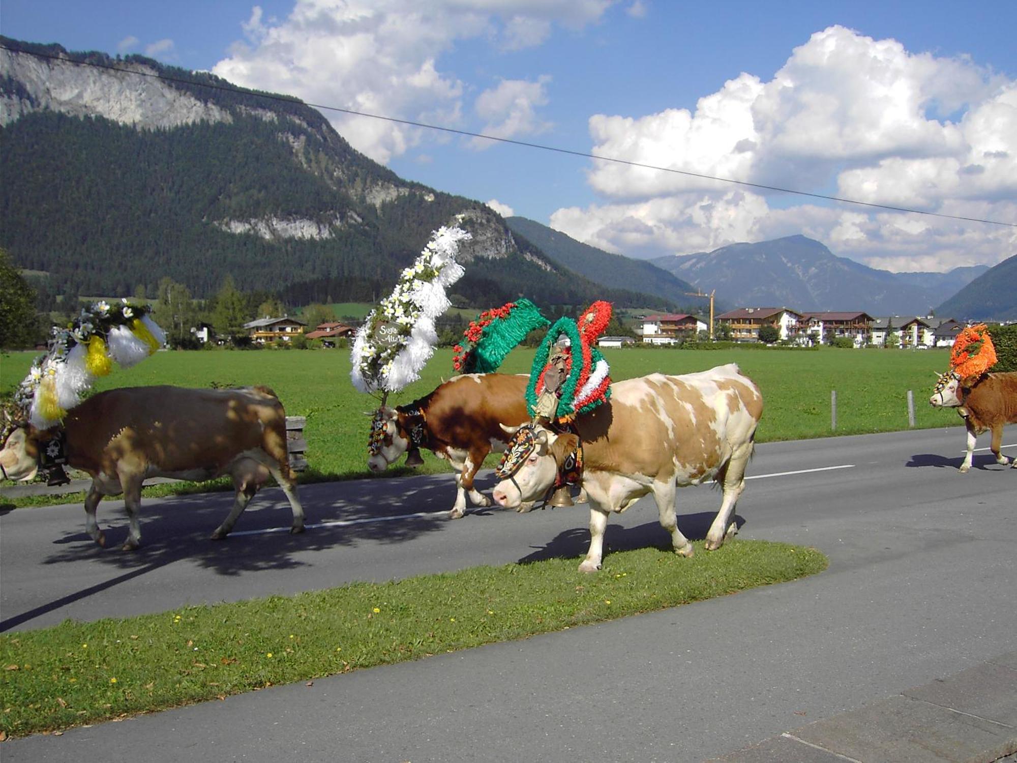 Appartement Fischer Sankt Johann in Tirol Dış mekan fotoğraf
