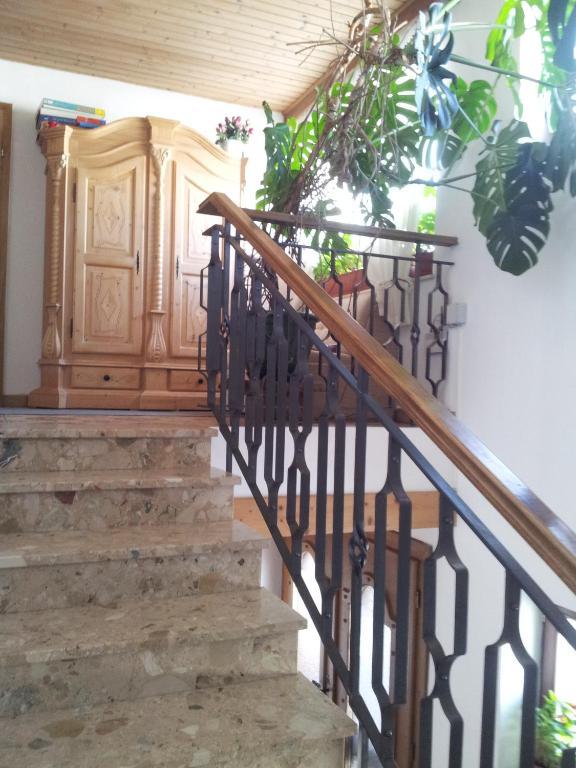 Appartement Fischer Sankt Johann in Tirol Dış mekan fotoğraf